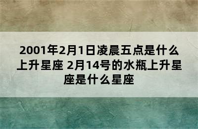 2001年2月1日凌晨五点是什么上升星座 2月14号的水瓶上升星座是什么星座